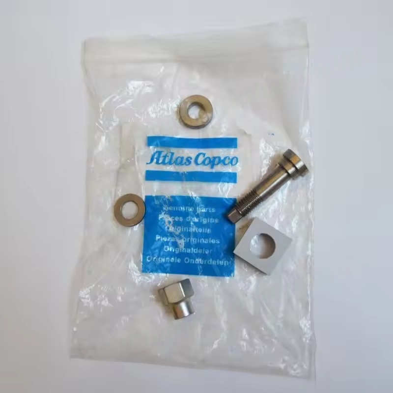 Atlas Copco Metor Screw Air Compressor Intve Compressor inlet Valve Kit Z10-145 Intve 2906049700